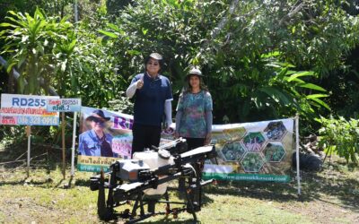 Hormino Ion BP rd2551: เสริมประสิทธิภาพการเติบโตของพืชด้วยสารสกัดจากผลิตภัณฑ์ผึ้ง