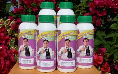 “RD2551” โปรตีนและกรดอะมิโนสกัดจากผลิตภัณฑ์ผึ้งบริสุทธิ์ นวัตกรรมใหม่เพื่อการเกษตรยั่งยืน